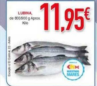 Masymas Lubina oferta