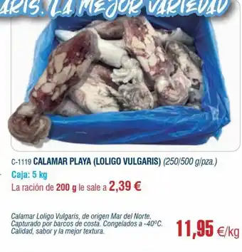Abordo Calamar Playa (Loligo Vulgaris) oferta