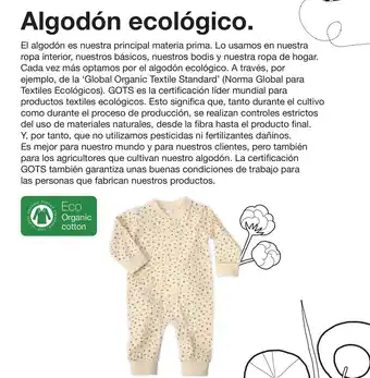 Zeeman Algodón ecológico oferta