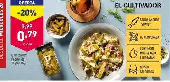 ALDI El Cultivador Pepinillos 170g oferta