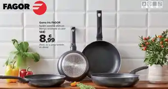 Carrefour Gama iris fagor oferta