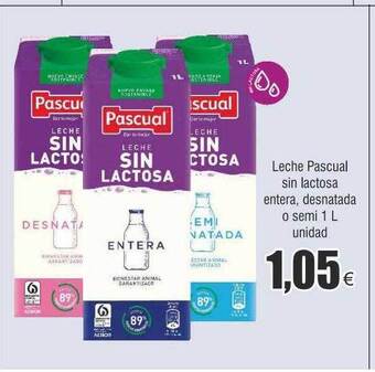 FROIZ Leche pascual sin lactosa entera desnatada o semi oferta