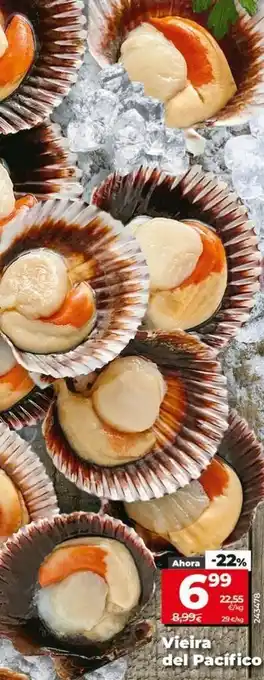 Maxi Dia Vieira del pacifico oferta