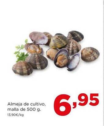 Alimerka Almeja de cultivo, malla oferta