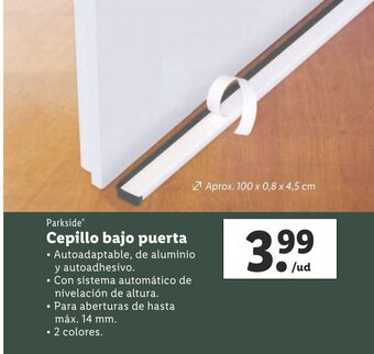 Lidl Cepillo Bajo Puerta oferta