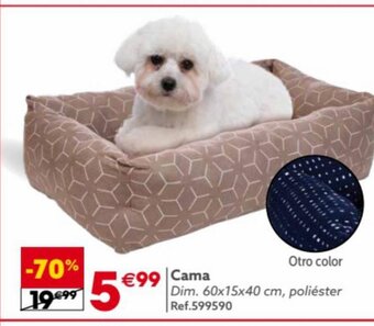 GiFi Cama oferta