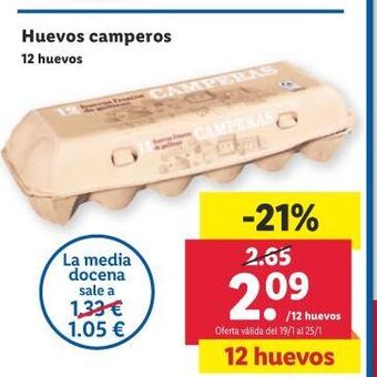 Lidl Huevos camperos oferta