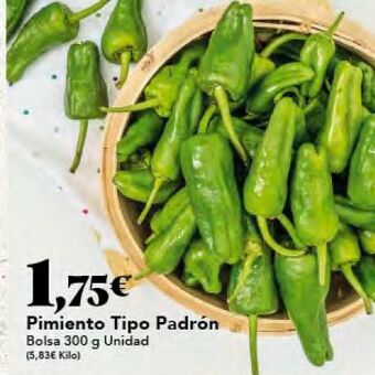 Gadis Pimiento tipo padrón oferta