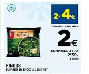 BM Supermercados Findus floretes de brócoli oferta
