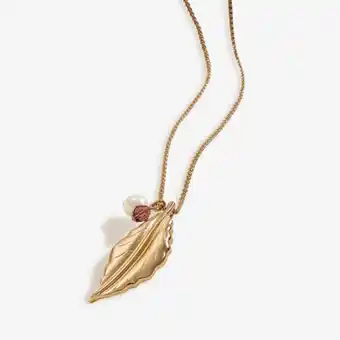 Yanbal Collar eneas oferta