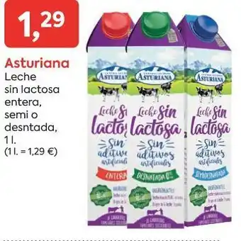 Suma Supermercados Leche sin lactosa oferta