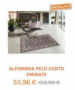 Revitex Alfombras oferta