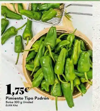 Gadis Pimiento tipo padrón oferta