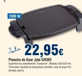 FROIZ Plancha De Asar Jata GR205 oferta