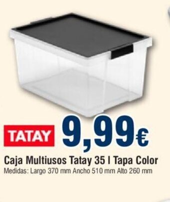 FROIZ Caja Multiusos Tatay 35 I Tapa Color oferta
