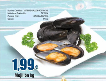 FROIZ Mejillón Kg. oferta