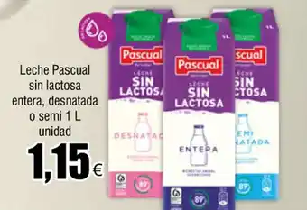 FROIZ Leche pascual sin lactosa entera oferta