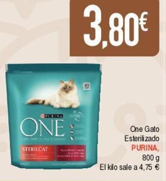 Masymas One gato esterilizado purina oferta