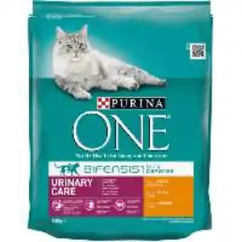 FROIZ Comida gatos one tracto urinario pollo 800 g oferta