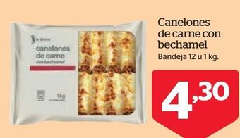Canelones de carne