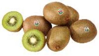FROIZ Kiwi zespri green kg oferta