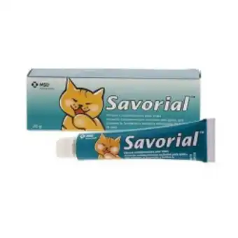 Bypets Msd savorial malta para gato oferta