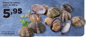 Alimerka Almeja de Cultivo, Malla De 500g oferta