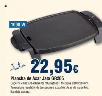 FROIZ Plancha de asar jata gr205 oferta