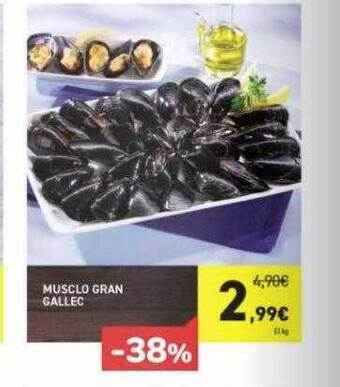Andorra 2000 Musclo gran gallec oferta