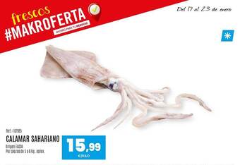 Makro Calamar sahariano oferta