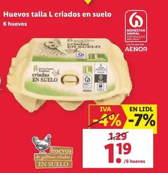 Lidl Huevos talla l oferta