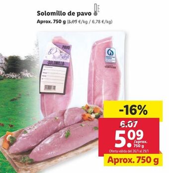 Lidl Solomillo de pavo oferta