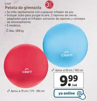 Lidl Pelota de gimnasia crivit oferta