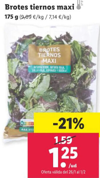 Lidl Brotes Tiernos Maxi 175 g. oferta