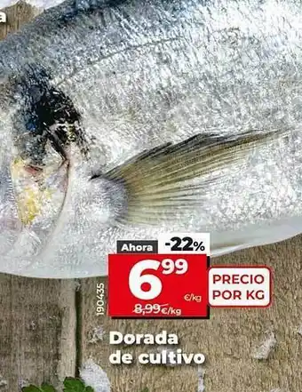 Dia Dorada de cultivo oferta