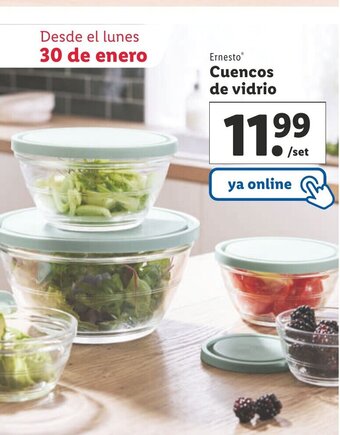 Lidl Ernesto Cuencos De Vidrio oferta
