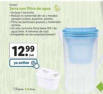 Lidl Ernesto Jarra Con Filtro De Agua oferta