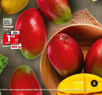 Dia Mango oferta
