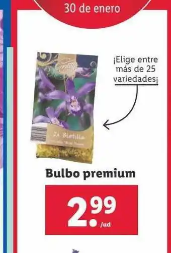 Lidl Bulbo premium oferta