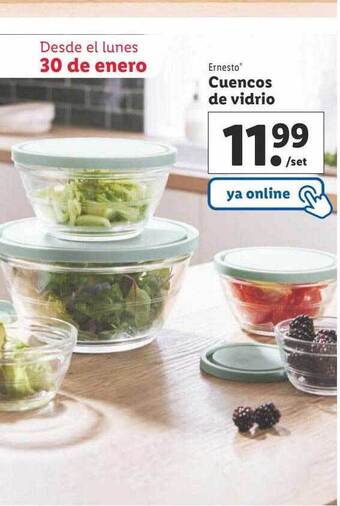 Lidl Ernesto cuencos de vidrio oferta