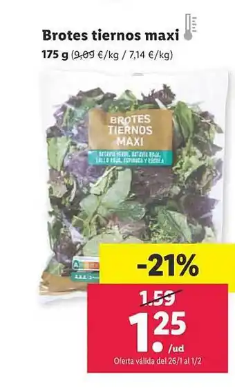 Lidl Brotes tiernos maxi 175 g oferta