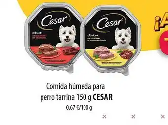 Spar Tenerife Comida húmeda para perro tarrina cesar oferta