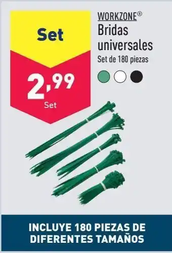 ALDI Bridas oferta