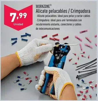 ALDI Alicates oferta