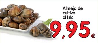 Alimerka Almeja de cultivo oferta