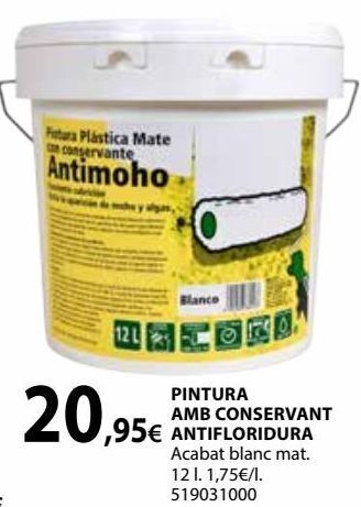 Fes Més Pintura oferta