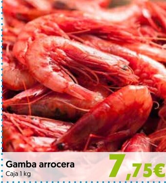 Hiper Usera Gamba Arrocera oferta