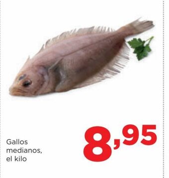 Alimerka Gallos Medianos el kilo oferta