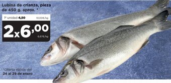 Alimerka Lubina de Crianza, Pieza de 450 g. Aprox oferta