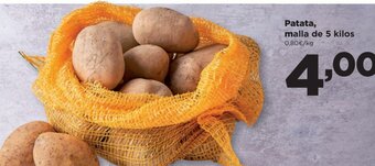 Alimerka Patata, Malla de 5 Kilos oferta